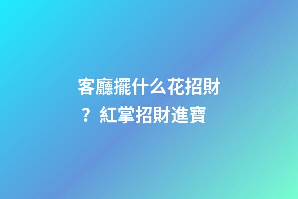 客廳擺什么花招財？紅掌招財進寶